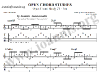 2011-01-31_0609-watermark